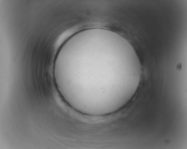 X0000113930006200910161902