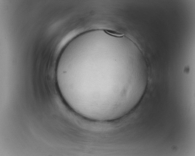 X0000113930008200910161902