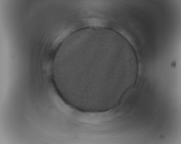 X0000113930009200910161902