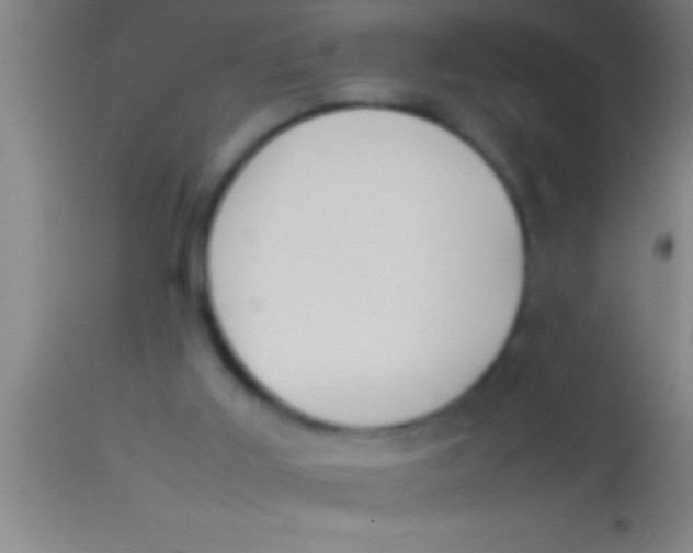 X0000113930011200910161902
