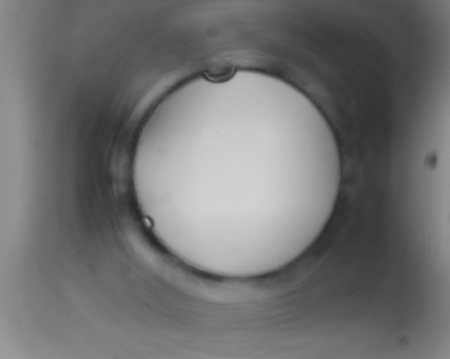 X0000113930012200910161902