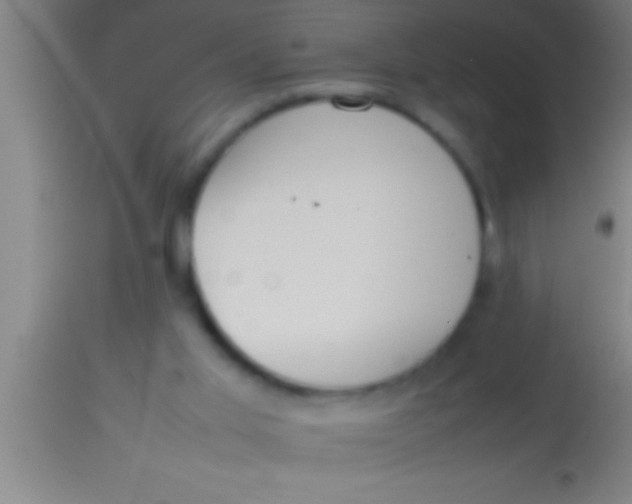 X0000113930013200910161902