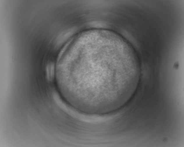 X0000113930014200910161902