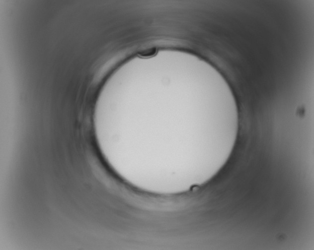 X0000113930015200910161902