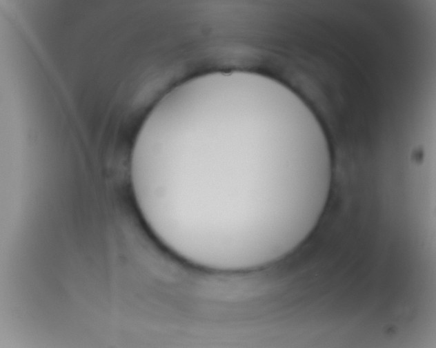 X0000113930017200910161902