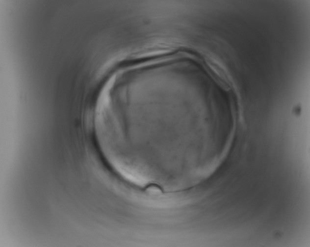 X0000113930019200910161902
