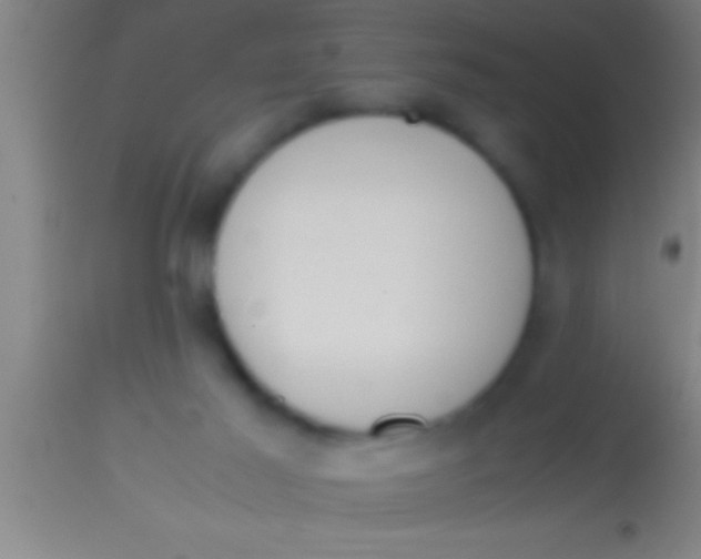 X0000113930021200910161902