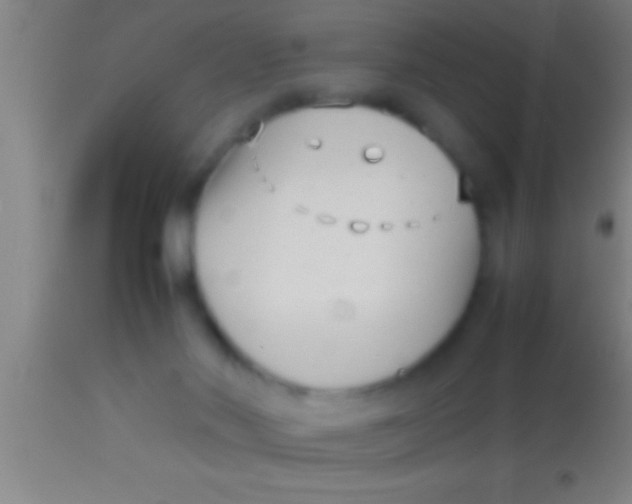 X0000113930022200910161902