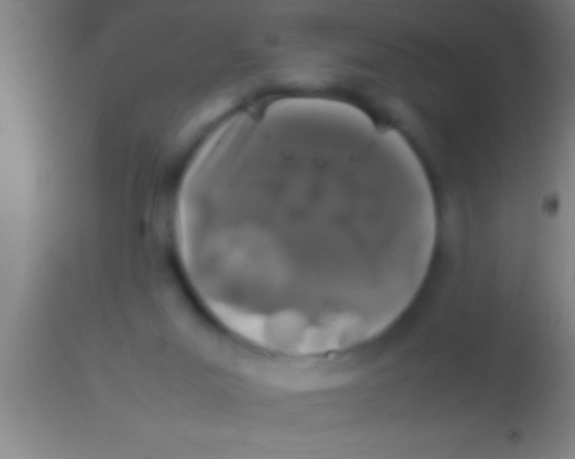 X0000113930023200910161902