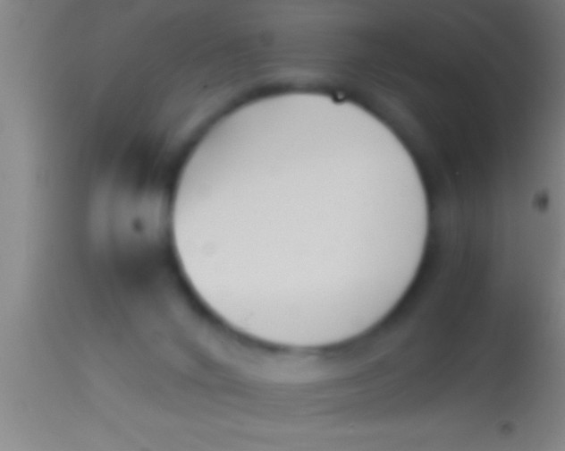 X0000113930024200910161902