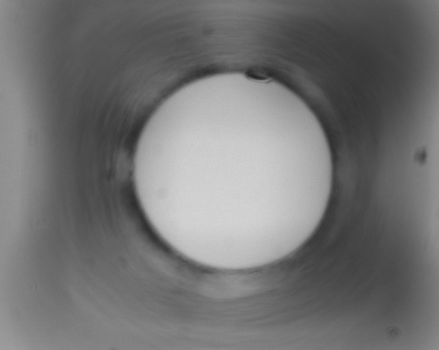 X0000113930025200910161902