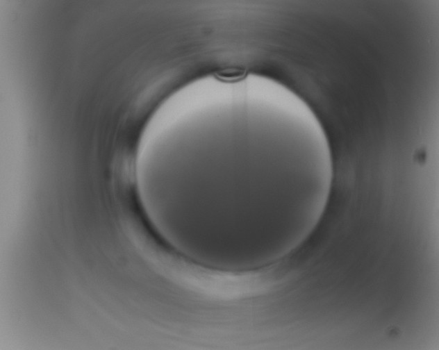 X0000113930027200910161902