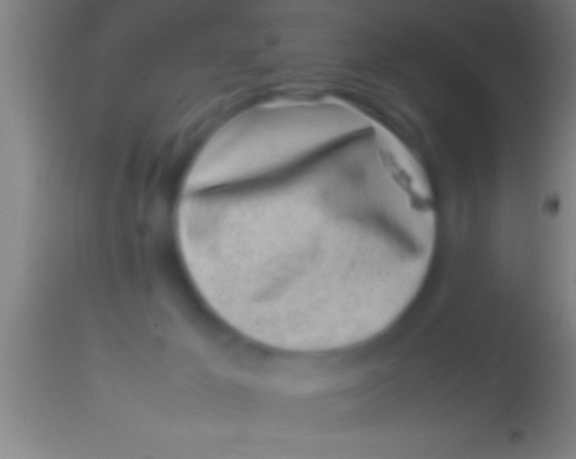 X0000113930029200910161902