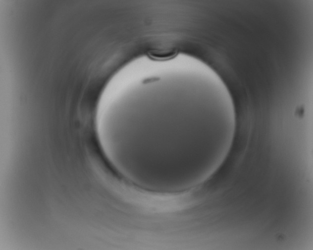 X0000113930031200910161902
