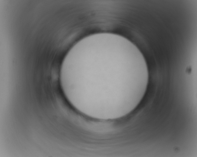 X0000113930032200910161902