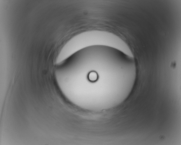 X0000113930033200910161902