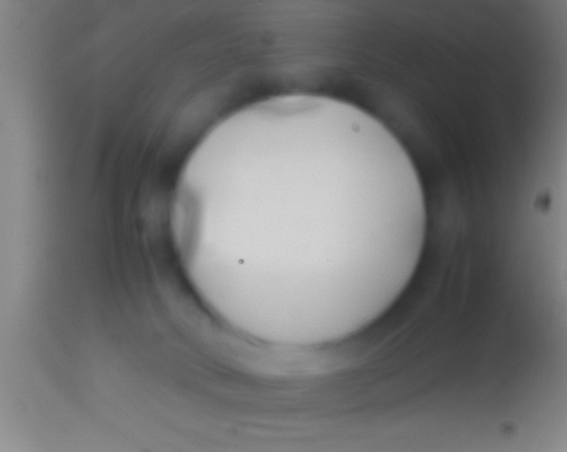 X0000113930034200910161902