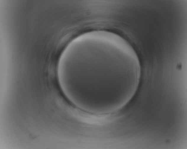 X0000113930035200910161902
