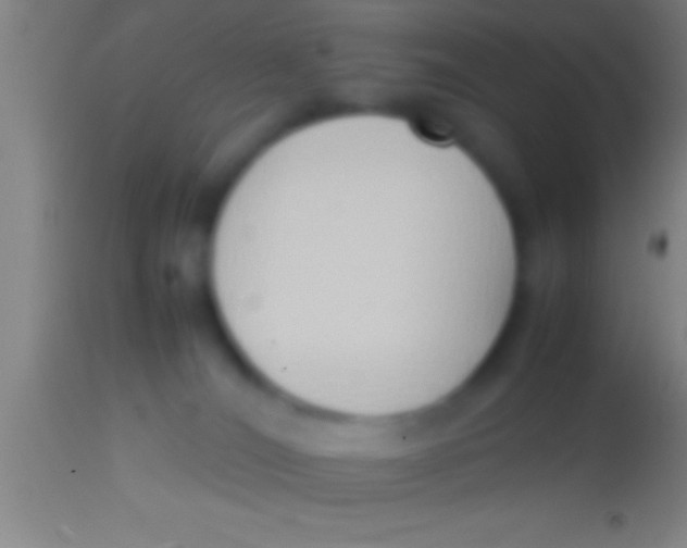 X0000113930036200910161902