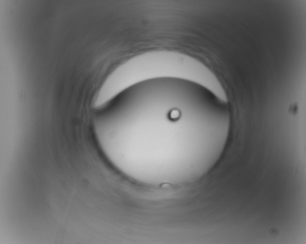 X0000113930037200910161902