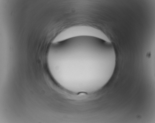 X0000113930039200910161902
