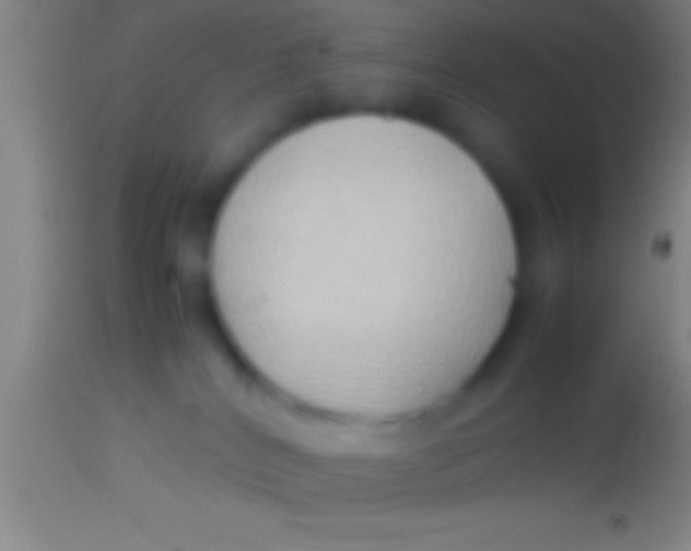 X0000113930040200910161902