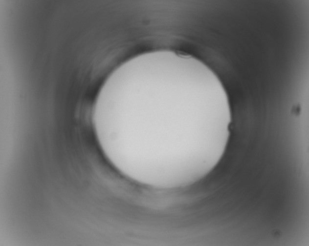 X0000113930041200910161902