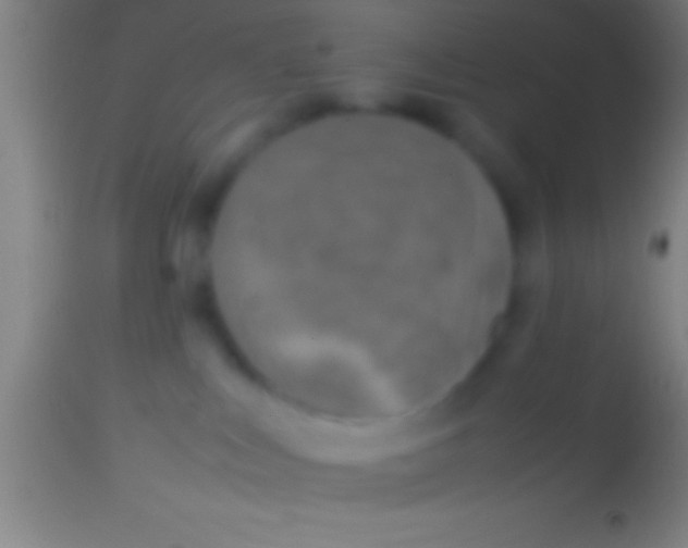 X0000113930043200910161902