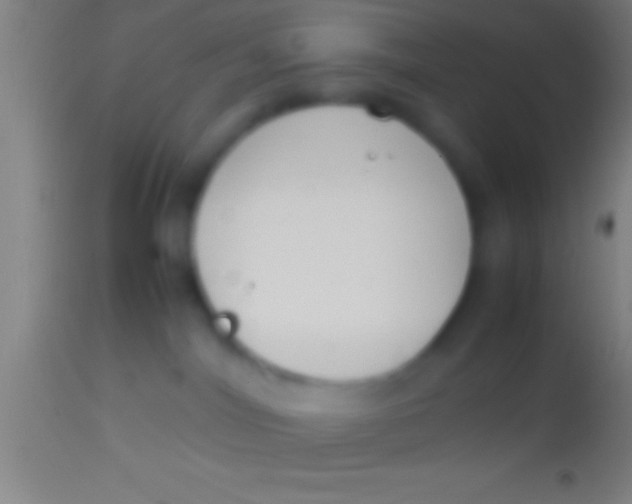 X0000113930044200910161902
