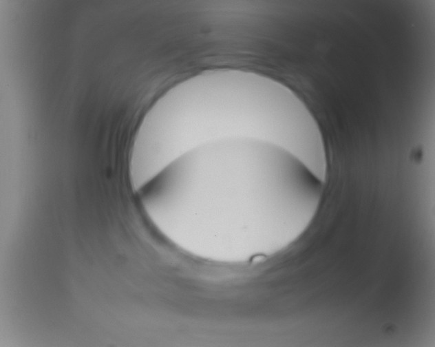 X0000113930045200910161902