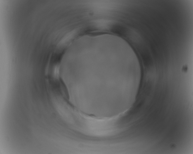 X0000113930047200910161902