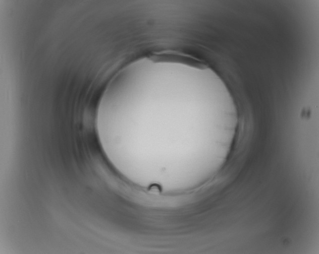 X0000113930048200910161902