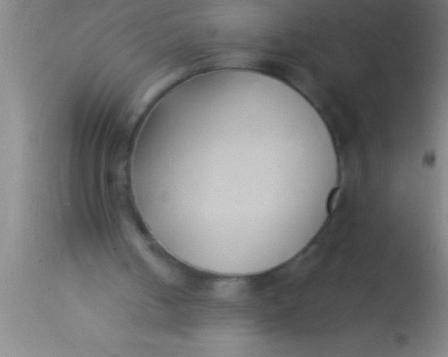 X0000113930050200910161901