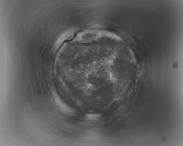 X0000113930051200910161901