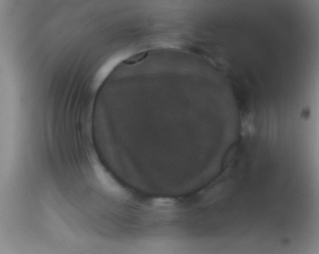 X0000113930052200910161901