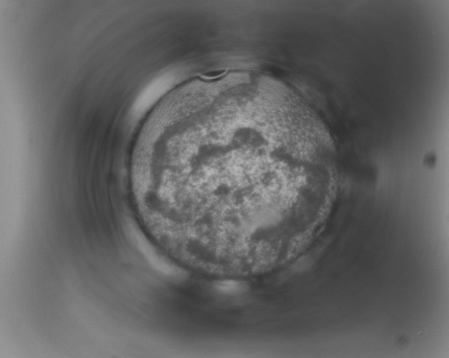 X0000113930053200910161901