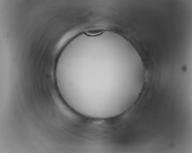X0000113930054200910161901