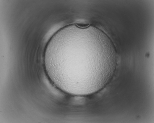 X0000113930055200910161901