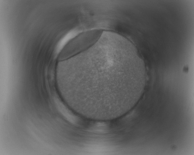 X0000113930056200910161901