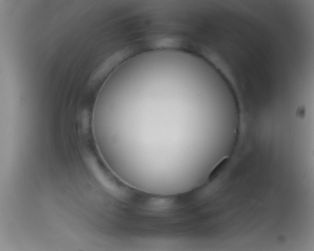 X0000113930057200910161901