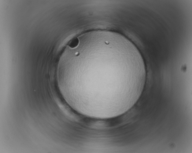 X0000113930058200910161901