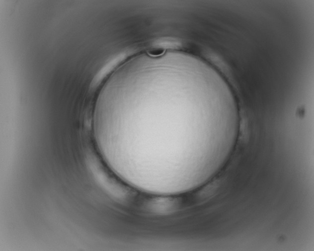 X0000113930059200910161901
