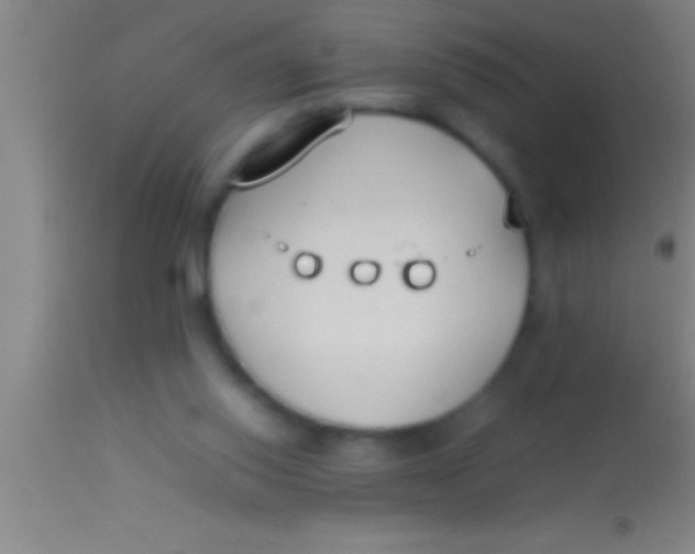 X0000113930062200910161901