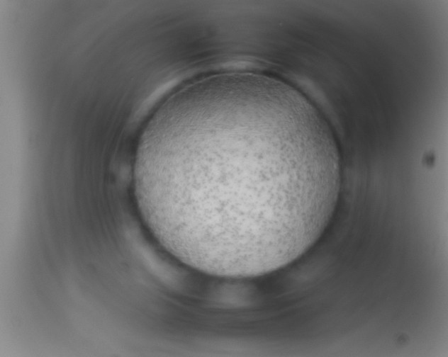 X0000113930063200910161901