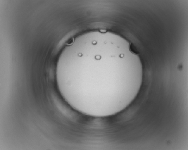 X0000113930064200910161901