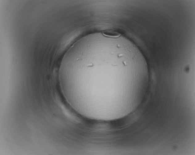 X0000113930066200910161901