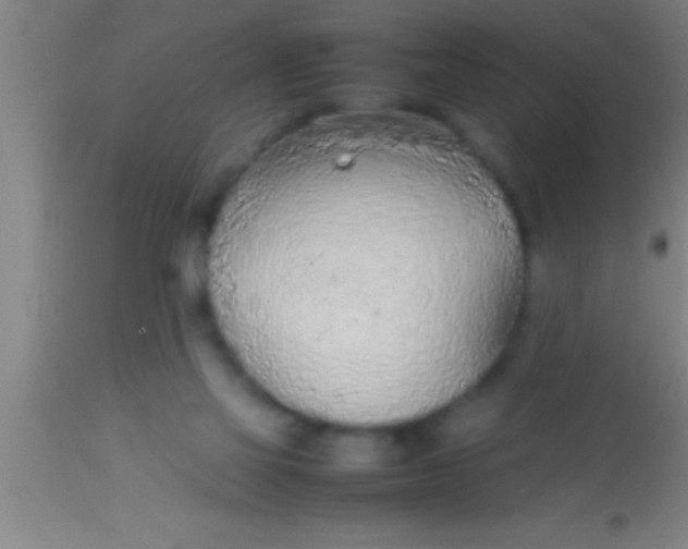 X0000113930069200910161901