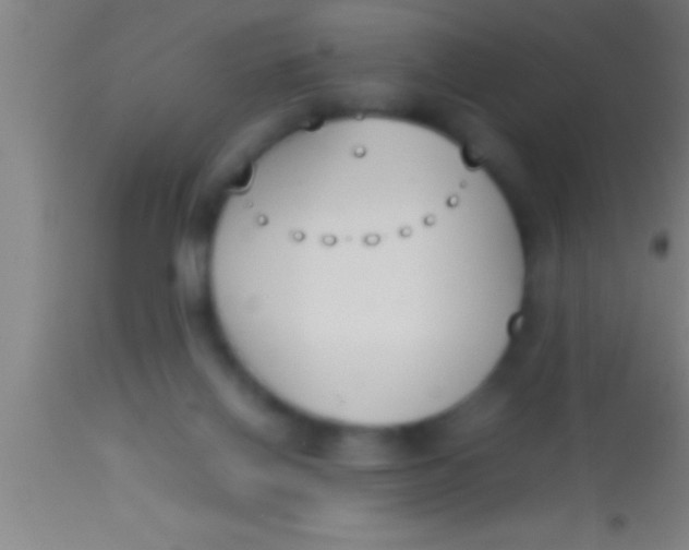 X0000113930070200910161901