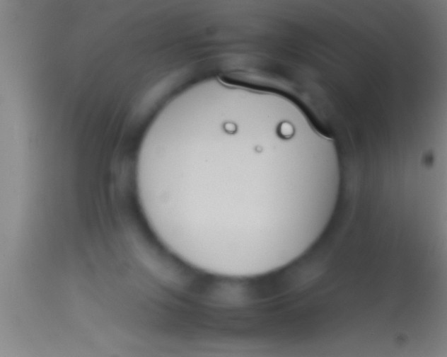 X0000113930071200910161901