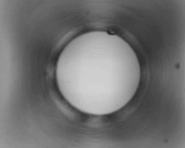 X0000113930072200910161901